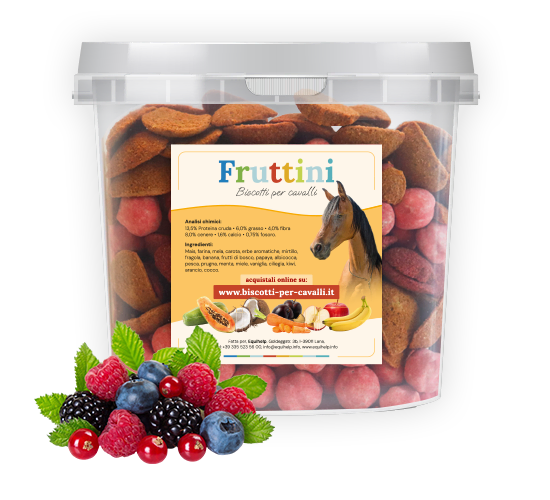 Biscotti per cavalli ai frutti di bosco
