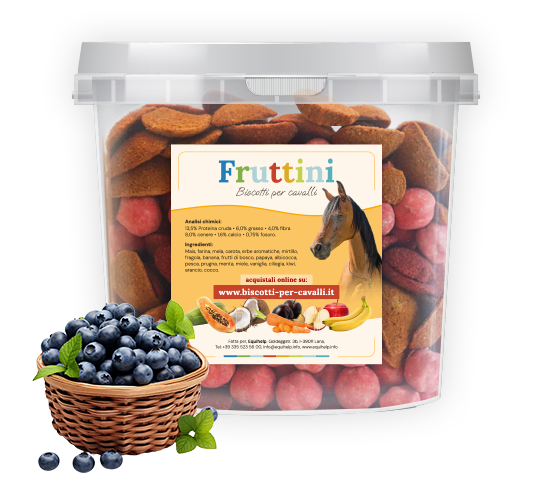 Biscotti per cavalli ai mirtilli