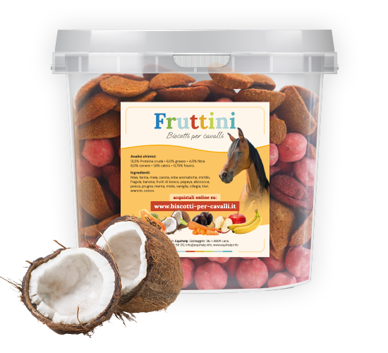 Biscotti per cavalli al cocco