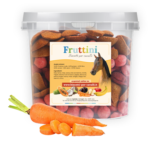 Biscotti per cavalli alla carota